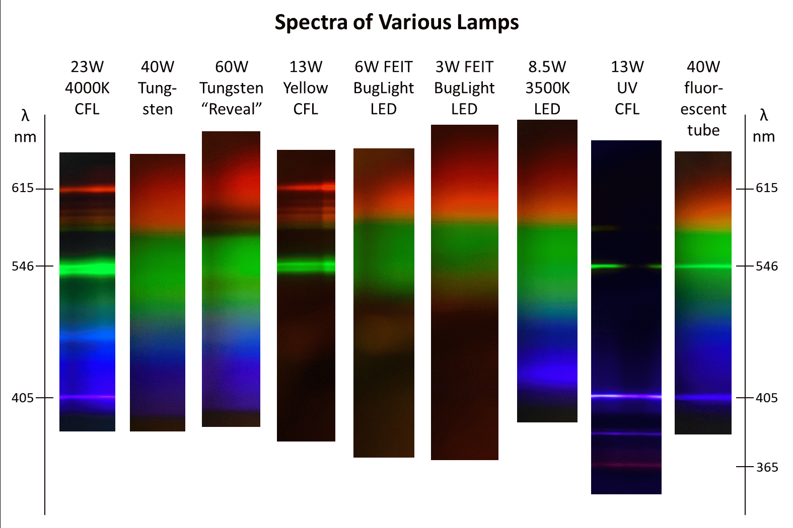 Cfl blue sale light spectrum